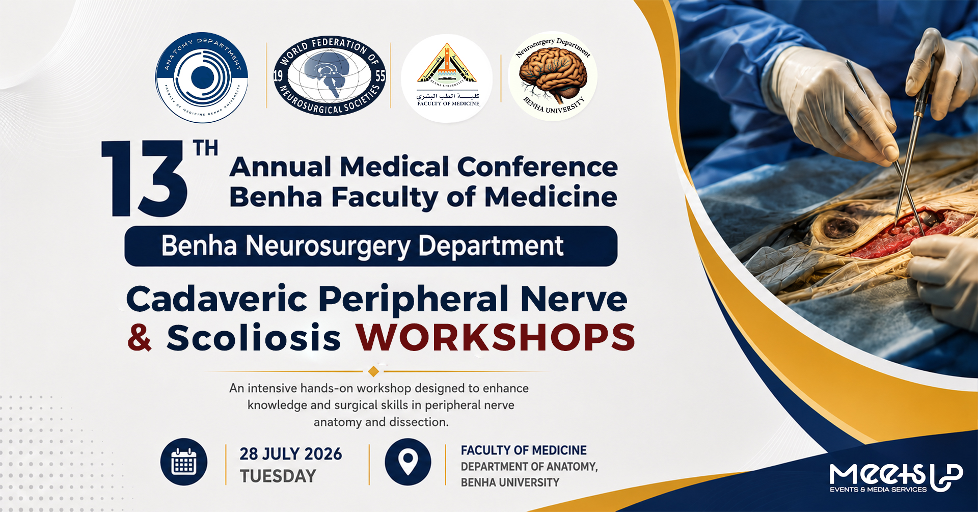 13 Annual Medical Conference Benha Faculty of Medicine (Cadaveric Peripheral Nerve & Scoliosis Workshops)